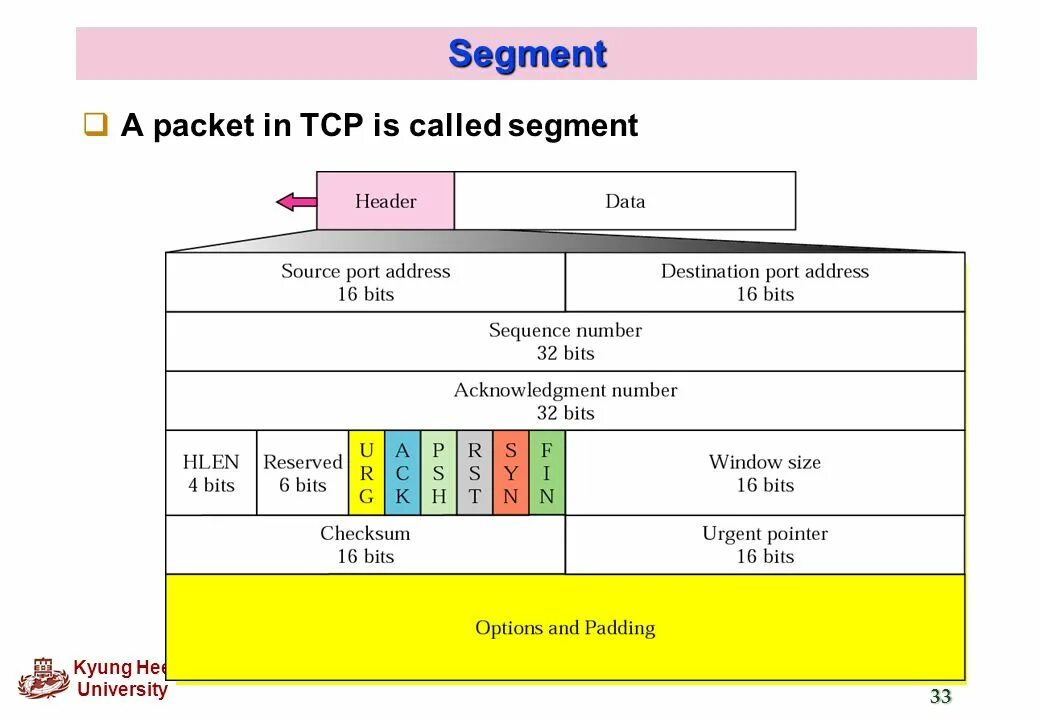 Пример пакета tcp. Заголовок протокола tcp. tcp протокол структура. формат пакета tcp.