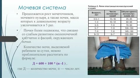Почечный индекс
