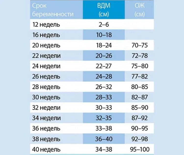 Срок 26. Окружность живота и высота дна матки по неделям. Высота дна матки по неделям беременности и окружность живота таблица. Высота дна матки при беременности норма по неделям. Норма объема живота при беременности по неделям.