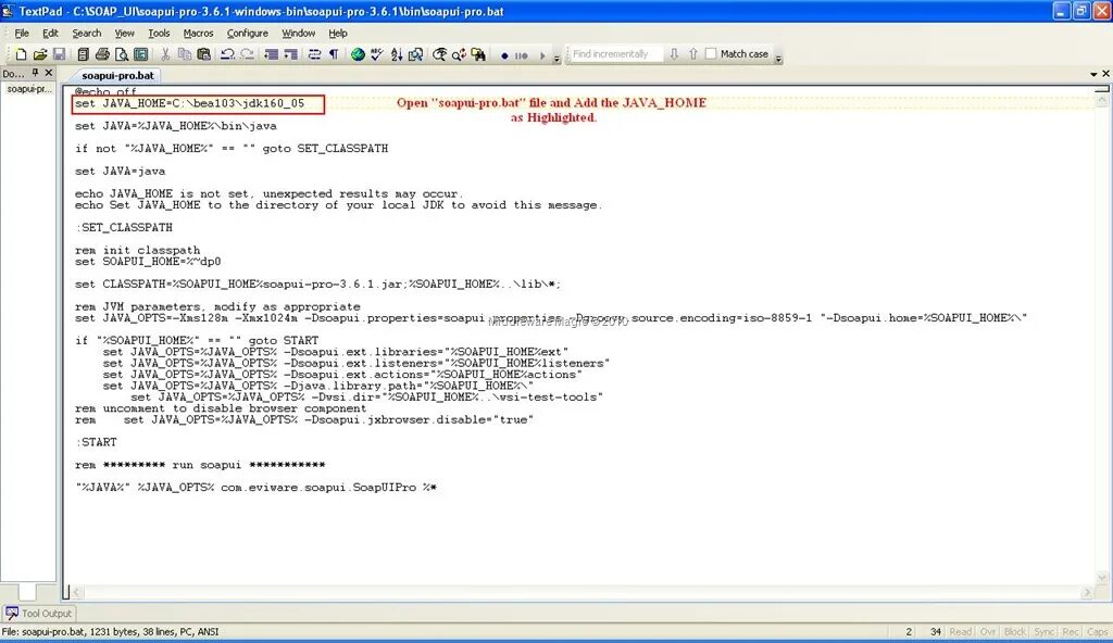 Java opts