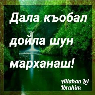 Мархнаш къобал дойла поздравления