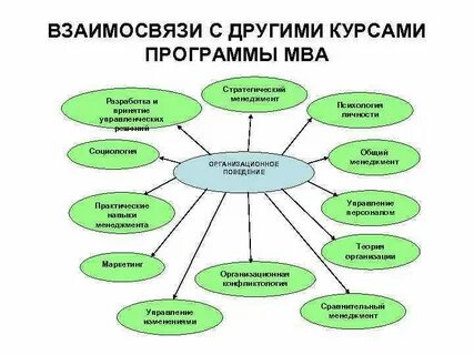Взаимосвязь поведения