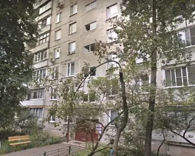 Дикая 16