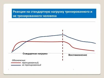 Стандартные нагрузки