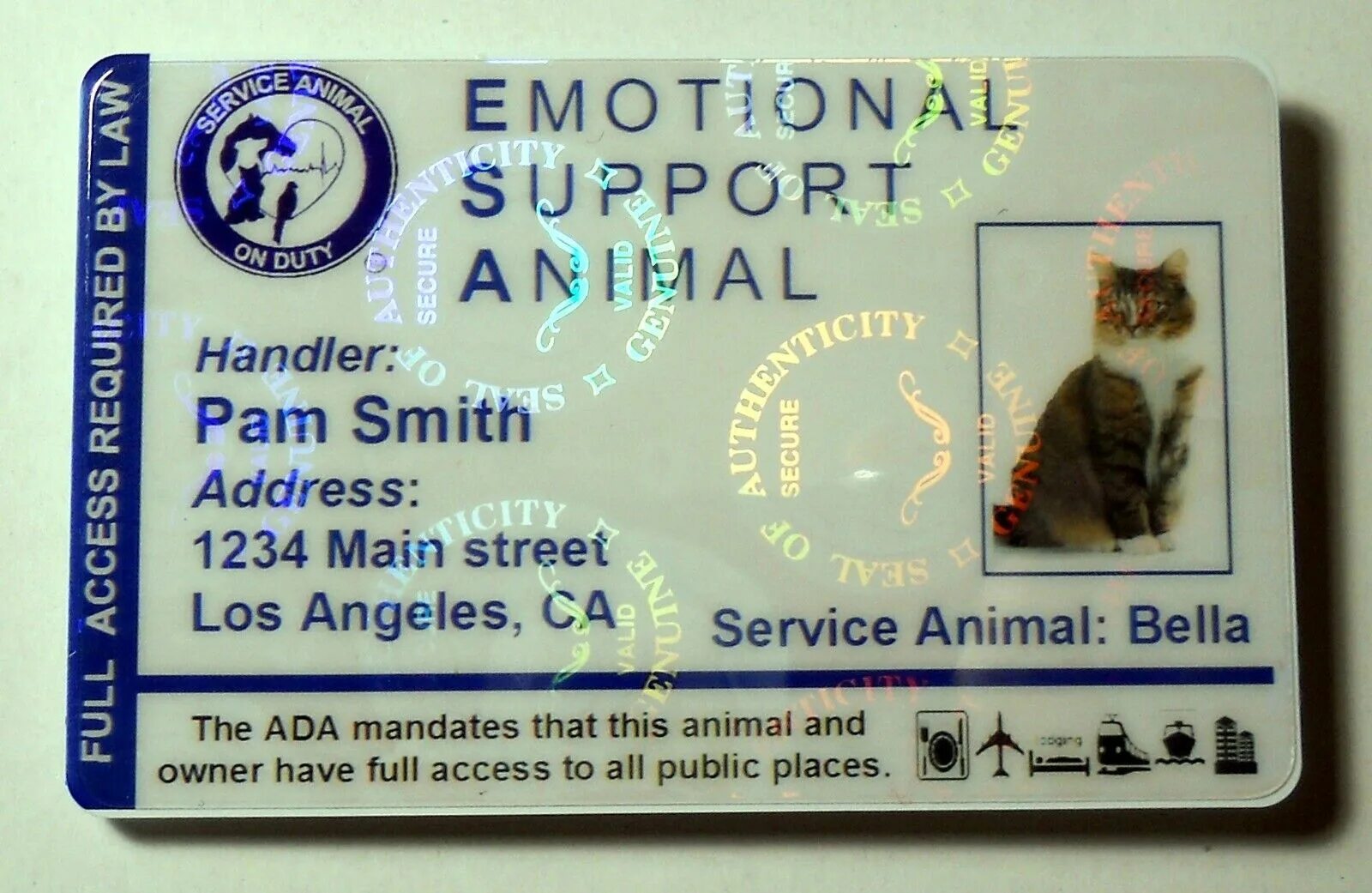 Support animals. Голограмма кошки. emotional support animal id card. emotional support animal id card шаблон. emotional support cat.