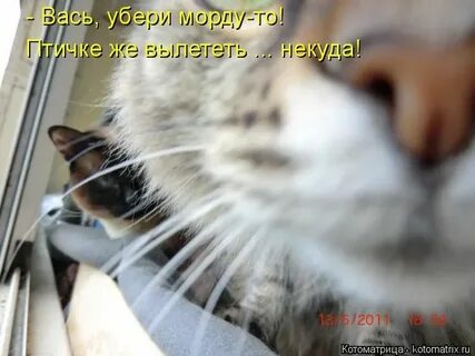 Убери вася
