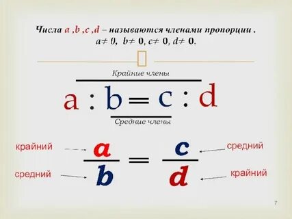 Пропорции цифры 1