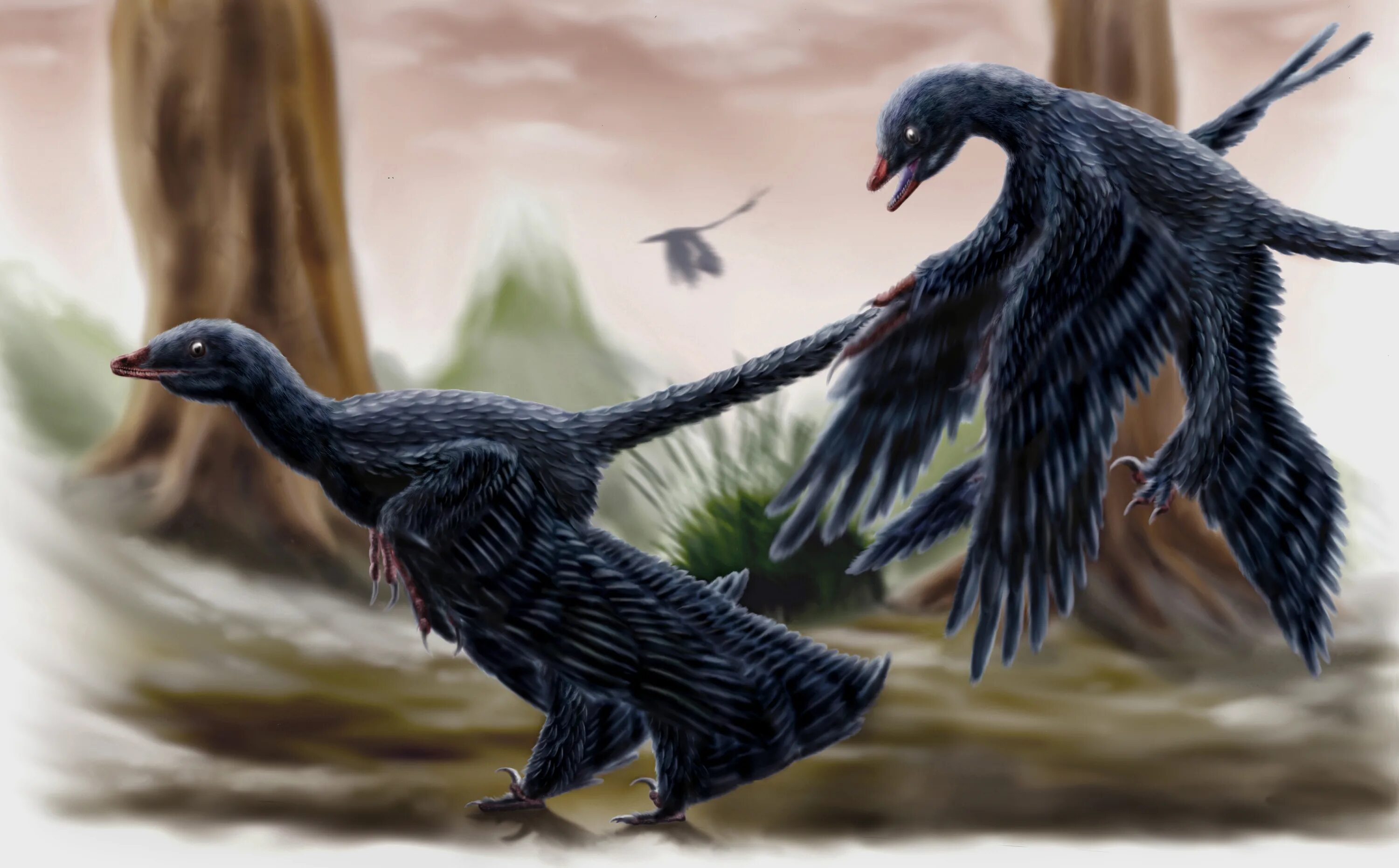 Микрораптор. Microraptor zhaoianus. четырехкрылый микрораптор. микрораптор летающий динозавров. микрораптор динозавр.