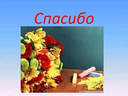 Спасибо за полученные знания
