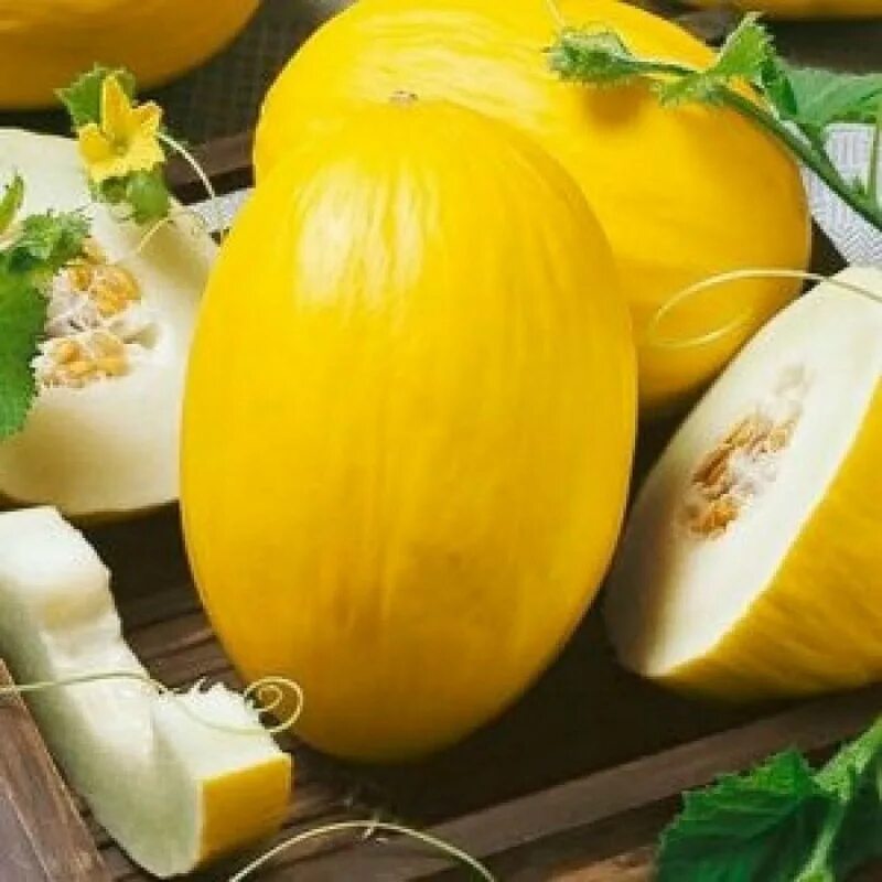Дыня золотистая агро. Семена дыня золотистая 1 г. Дыня агро. Дыня сорт золотистая. Дыня золотистая агро.