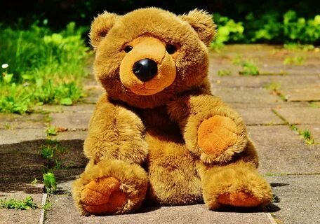Toy bear