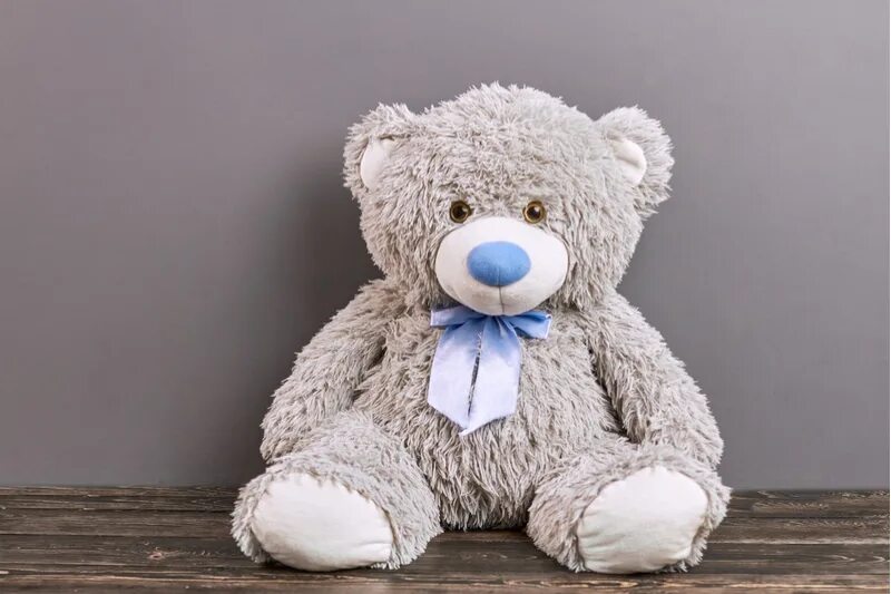 Grey bear