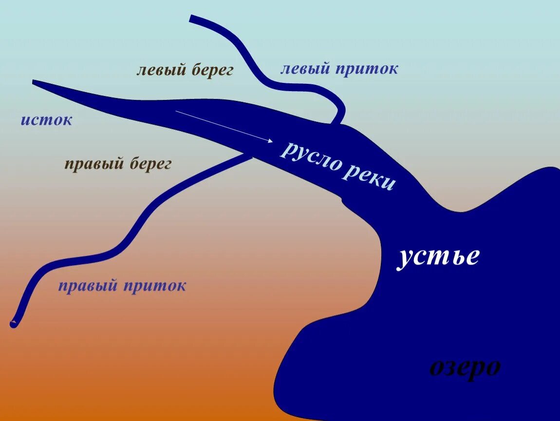 : Исток реки, русло, Устье, приток, левый берег, правый берег.. Устье Исток приток русло строение реки. Схема реки Исток реки Устье реки правый берег левый берег. Истоки реки Устье реки правый берег левый берег.