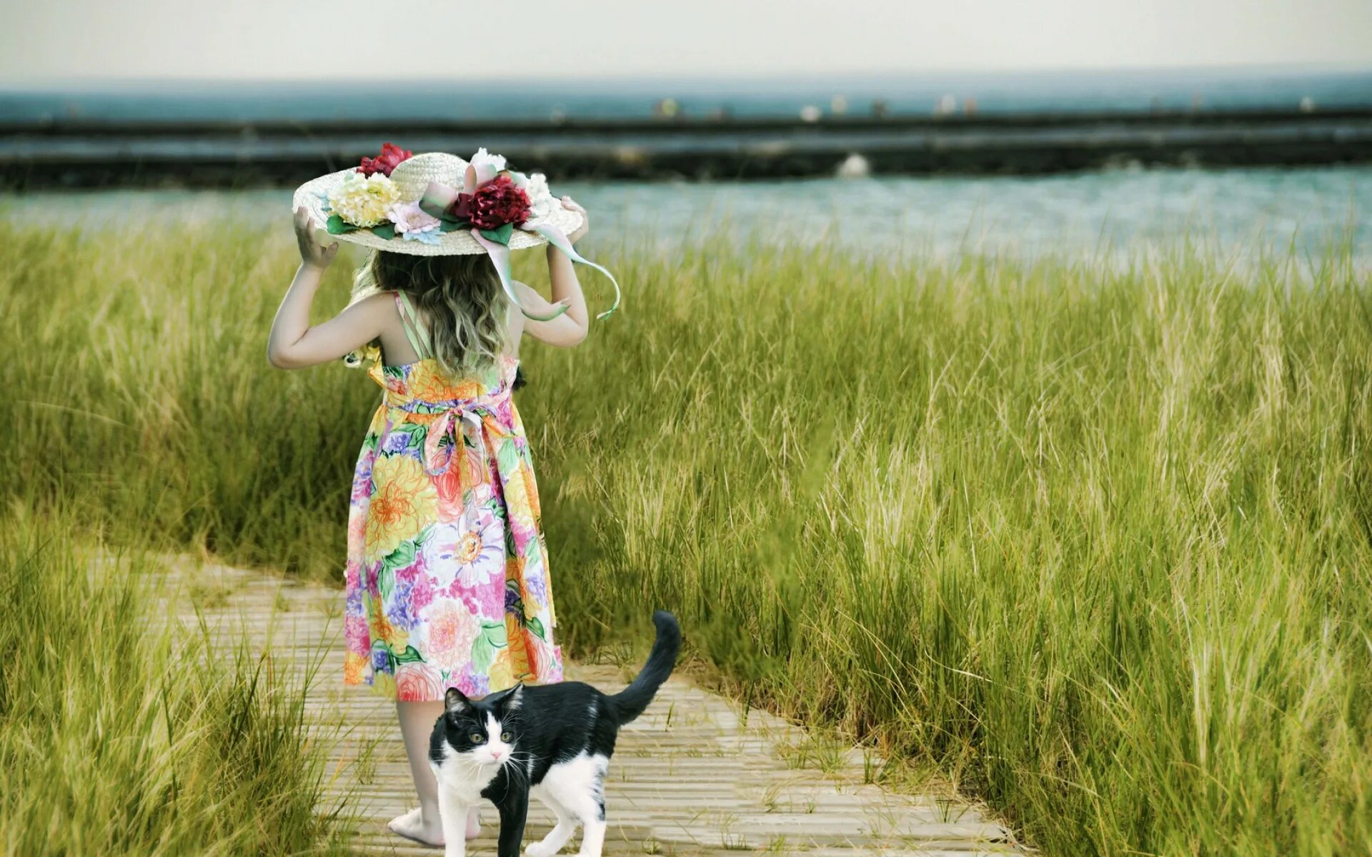 Девушка в шляпе в поле. Фотосессия с кошкой на природе. Летний кот. Летнее счастье.