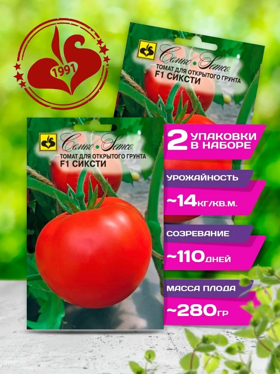 Томат партнёр семко f1. Томат семко синдбад. Кистевые томаты семко. Томат черри ликопа f1 семко. Томаты гибриды семко.