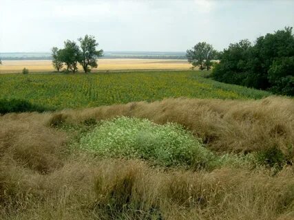 Кубань приазовье