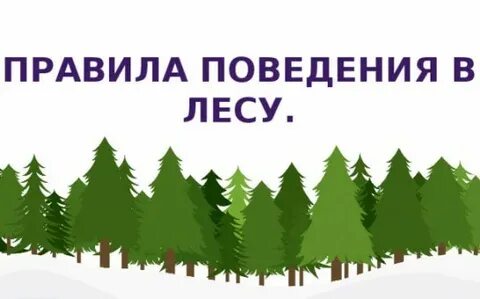 Первая правила леса