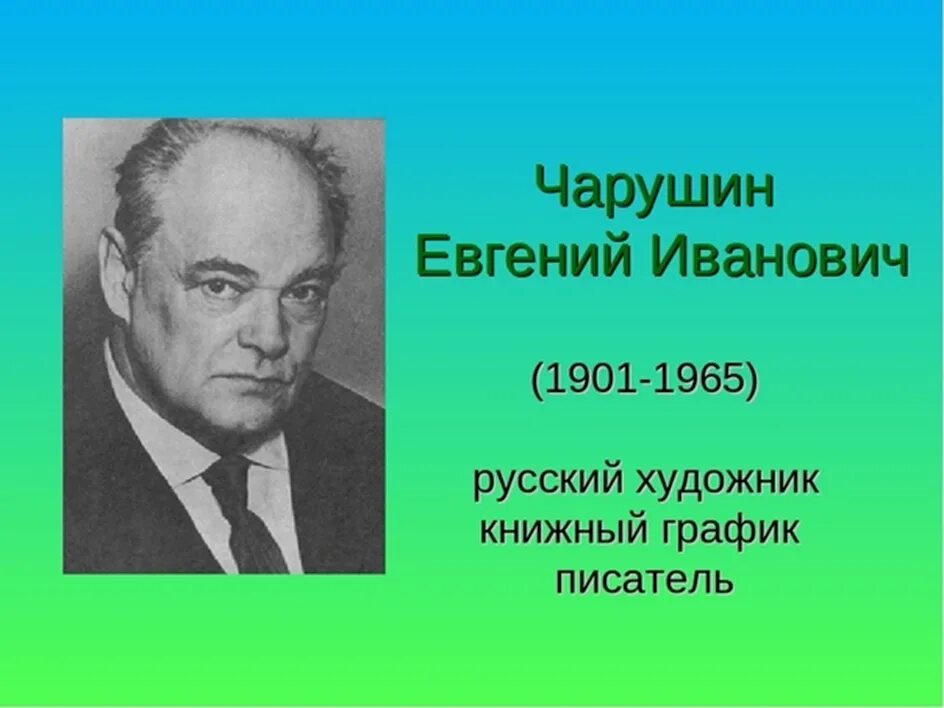 Портрет е Чарушина. Портрет Чарушина художника иллюстратора. Чарушин портрет писателя. Отчество чарушина