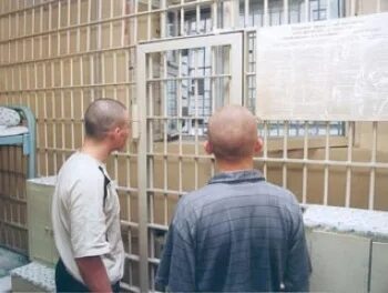 Сизо фролово