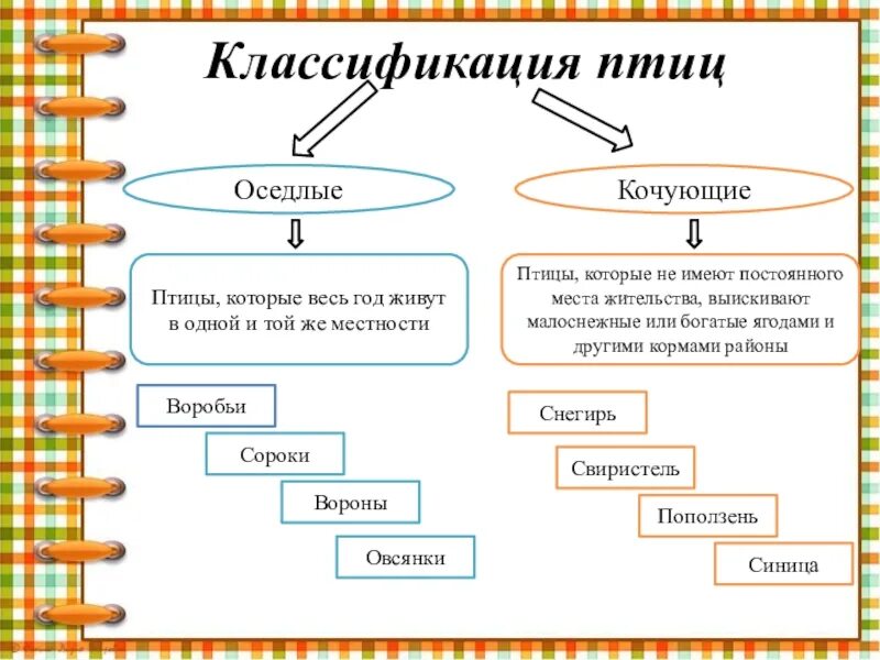Таблица 1 типы птиц Задание 2 Рабочая тетрадь 54. Многообразие птиц и их значение. Птицеводство ГДЗ