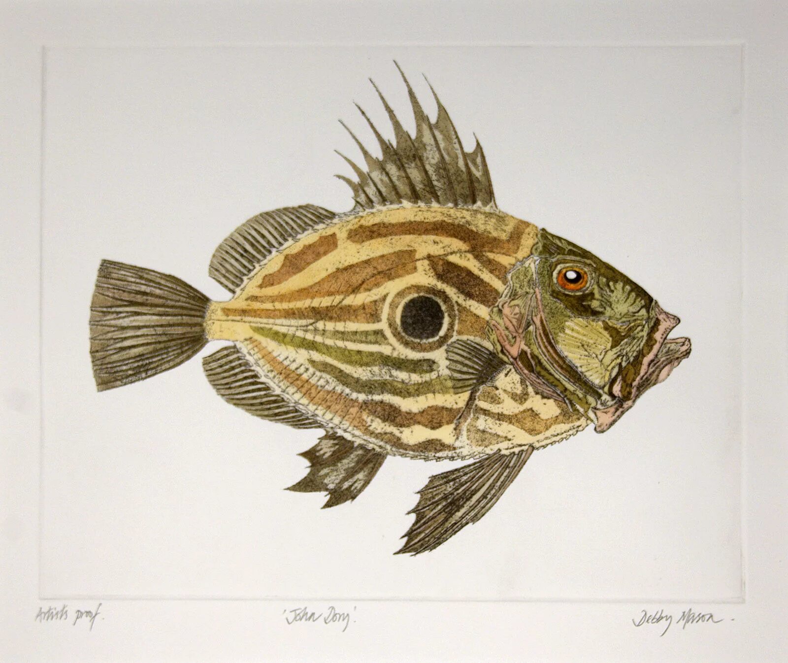 John dory. Зевс фабер. John dory в готовом виде. Джони дори рыба. Красноухий солнечник.