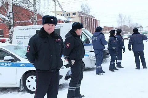 Гаи можга