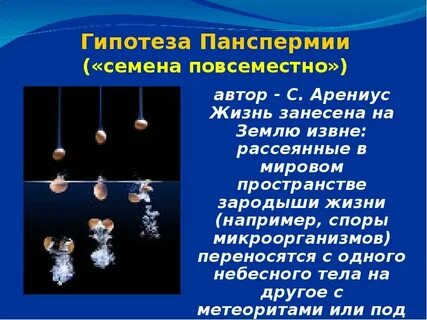 Жизнь занесена на землю извне