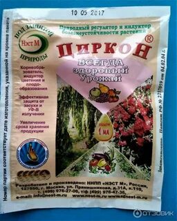 Циркон для комнатных растений