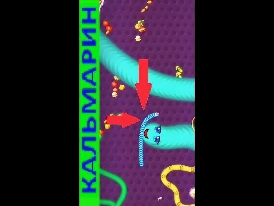 Охота на червяков. Червячная зона. Охота на червяков. Охота на червяков. Worm hunt.