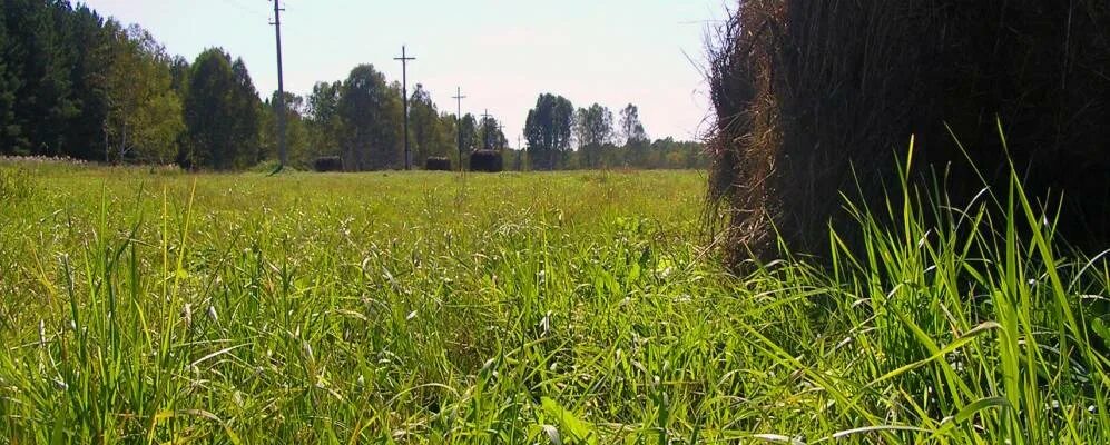 Погода село окунево кемеровская область промышленновский район. Тарабарино Кемеровская область. Абышево Кемеровская область. Деревня Тарабарино Кемеровская область. Деревня труд Кемеровская область Промышленновский район.