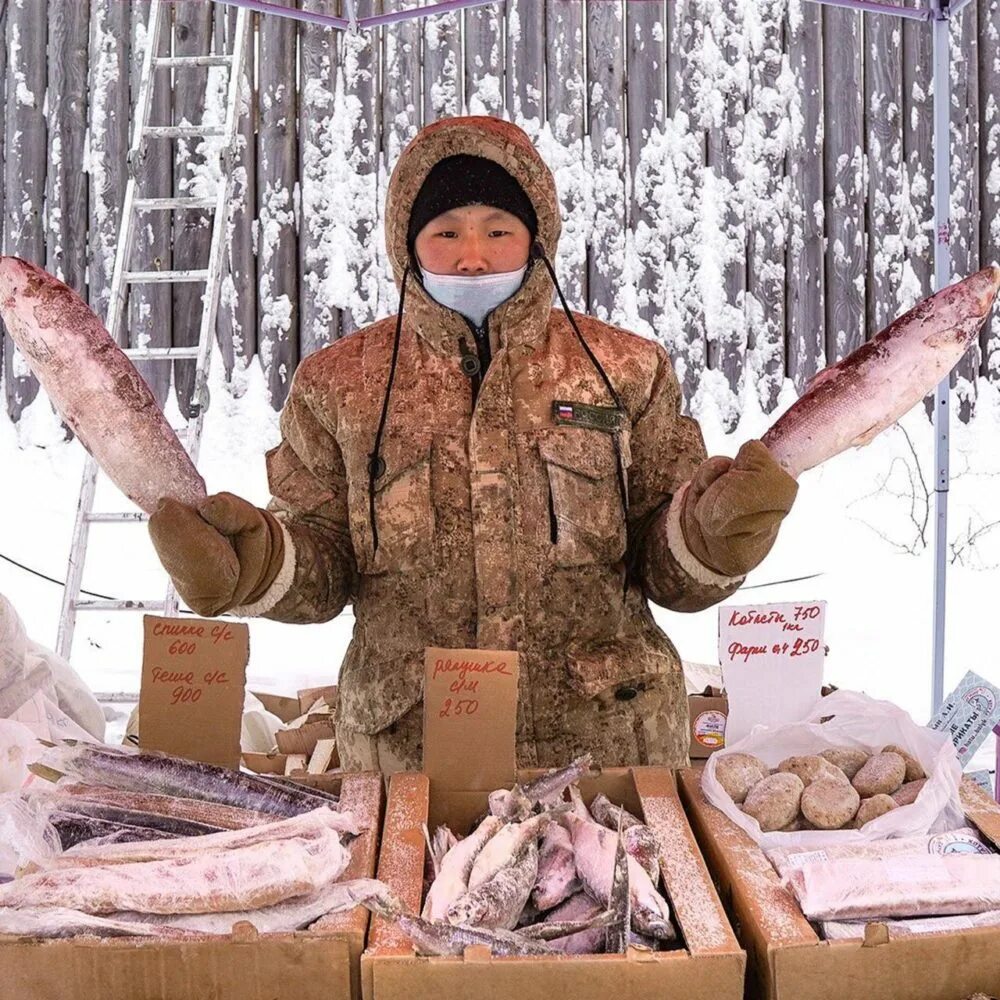 Якут рыба. Нельма строганина. Якутская рыба строганина. Якутская строганина Чир. Строганина в Якутии.