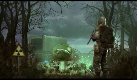 Dayz stalker anomaly