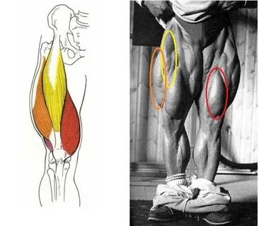 Деформация мышц