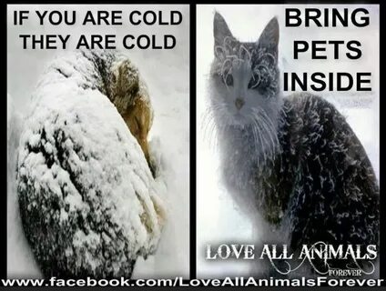 I asked are you cold