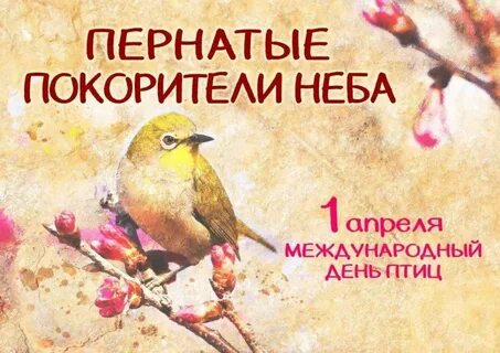 Пернатый плесеник