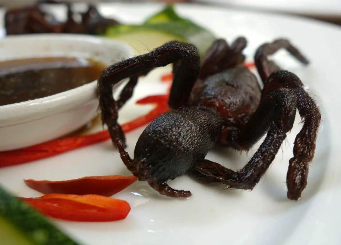 съедобные пауки. жареный паук птицеед. хлебный паук еда. жареный паук птицеед. блюда в виде паука.