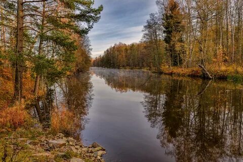 Осенний пейзаж реки