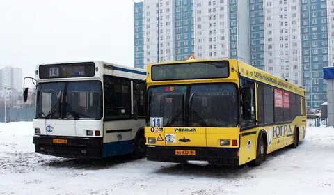 Х 104