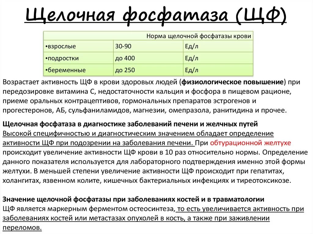 Пониженная фосфатаза щелочная в крови