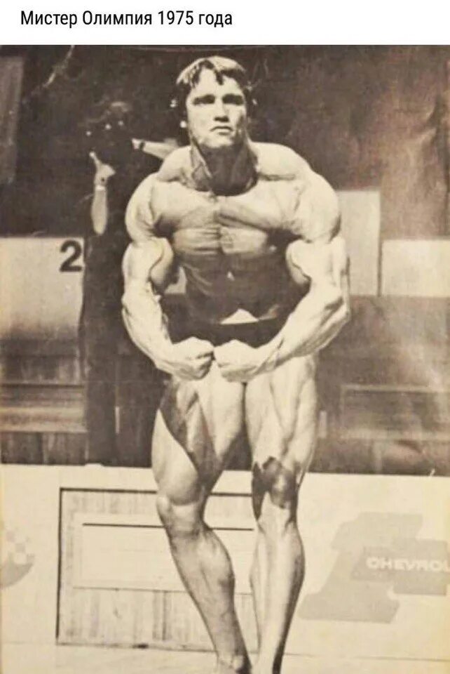 Шварценеггер мистер олимпия 1975. Шварценеггер 1975. Арнольд шварценеггер и серж нюбре 1975. Серж нюбре и арнольд шварценеггер. Лу феринью олимпия.