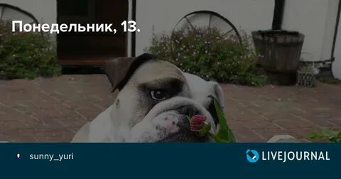 Понедельник 13 е прикольные картинки