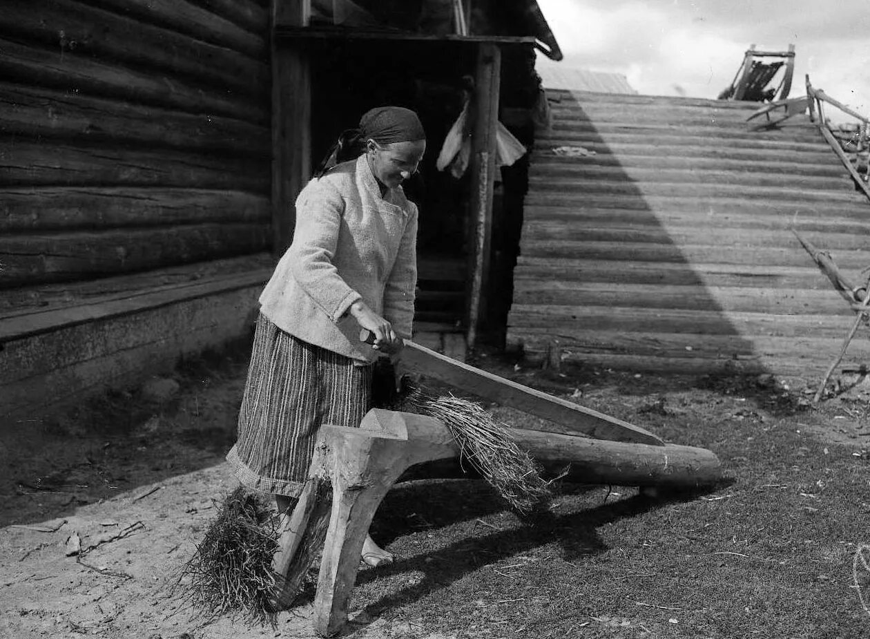 Карелы и коми промысел. «Крестьянка из Тульской губернии», 1910.. Мялка льна 20 века. Мялка льна на Руси. Льноводство 19 век Вологодская Губерния.