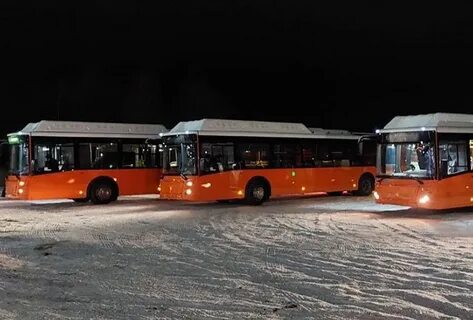 Золотое кольцо из нижнего новгорода автобусный