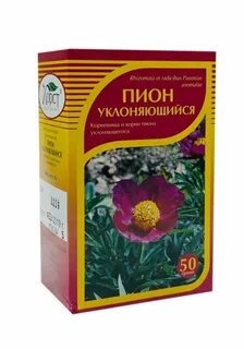 Пион уклоняющийся описание