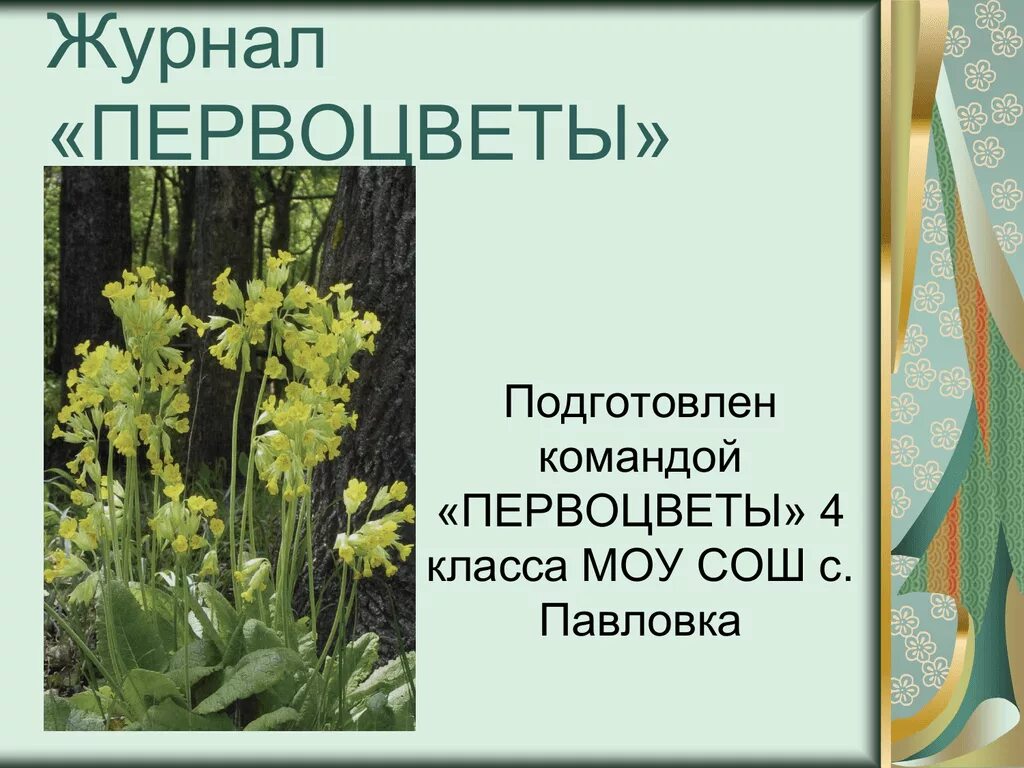 Сообщение о раннецветущих растениях 2 класс. Надпись первоцветы. сообщение о первоцветах.