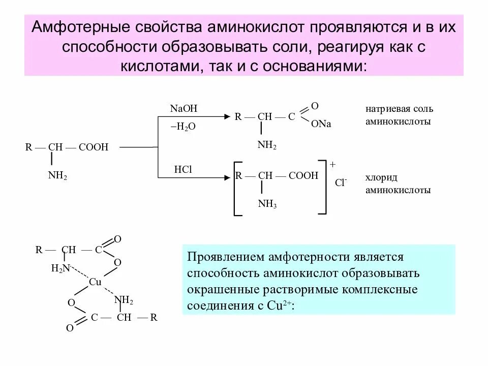 Аминокислоты и их функции. Физико химическая классификация аминокислот. Белки аминокислоты. Физико-химические свойства аминокислот. Аминокислоты могут иметь свойства.