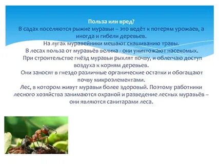 Польза класса