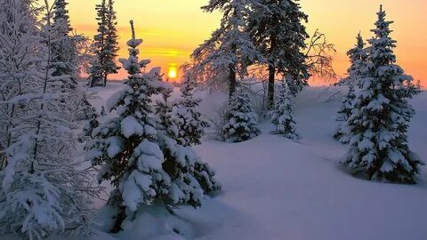 Окружающее декабрь