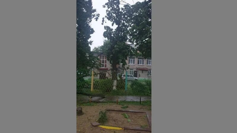 Девочку убило деревом