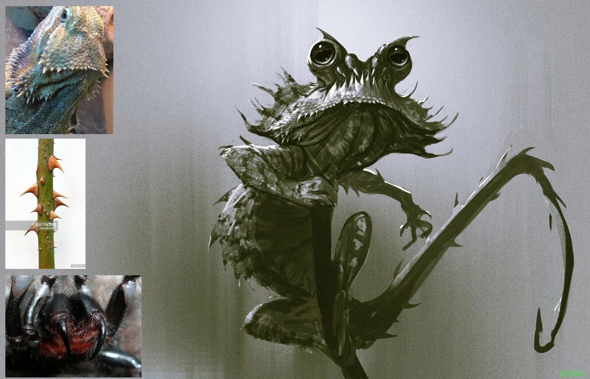 Гарри поттер пикирующий злыдень. Пикирующего злыдня. Пикирующего злыдня. Пикирующий злыдень фантастические твари. Пикирующий злыдень фото.